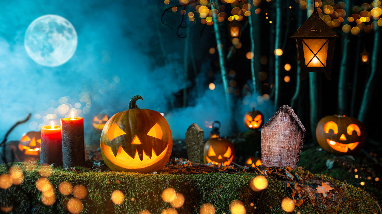 Verrassend feitje: Halloweenpompoenen worden ook wel Jack O'Lanterns genoemd!